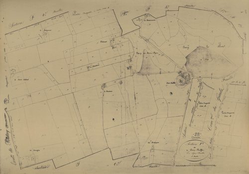 Section F, Bois Ruffin, feuille 5.