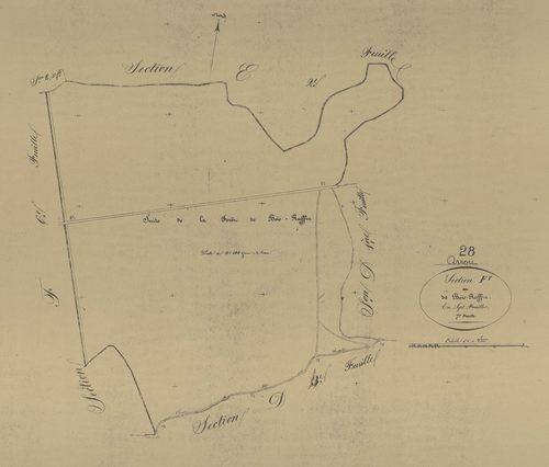 Section F, Bois Ruffin, feuille 7.