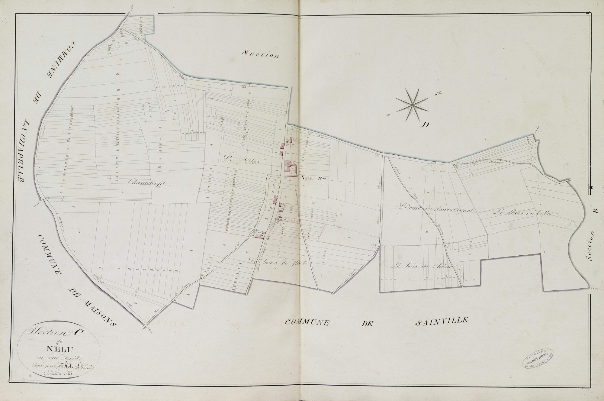 Section C, Nélu, en une feuille.