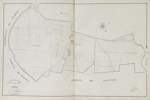 Section C, Nélu, en une feuille.