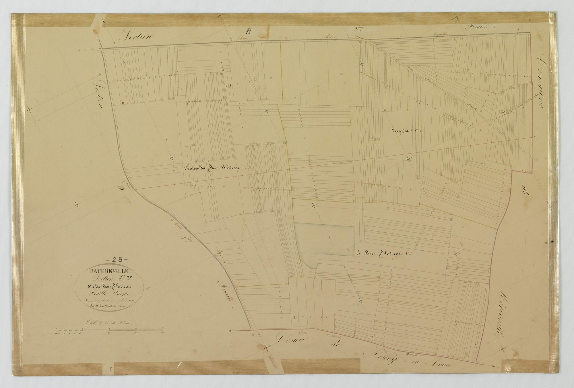 Section C, le Bois Blaireau, en une feuille.