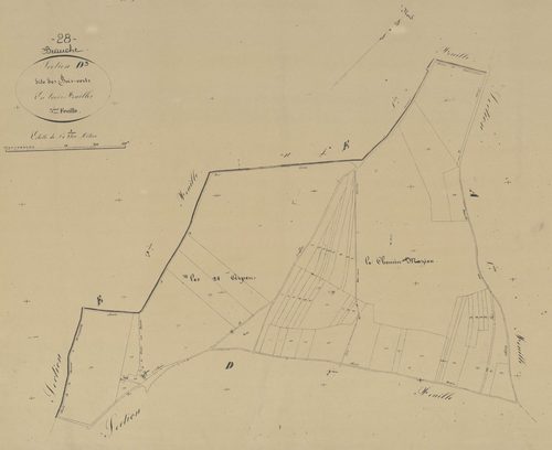 Section D, les Bois-Verts, feuille 3.