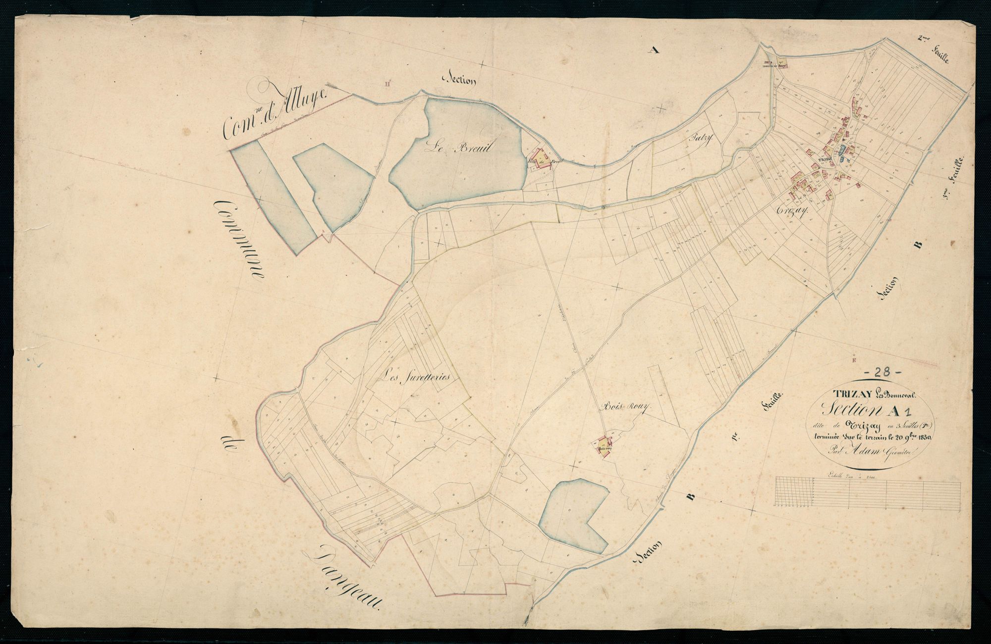 Section A, Trizay, feuille 1 / Terminée sur le terrain par Monsieur Adam, Géomètre.