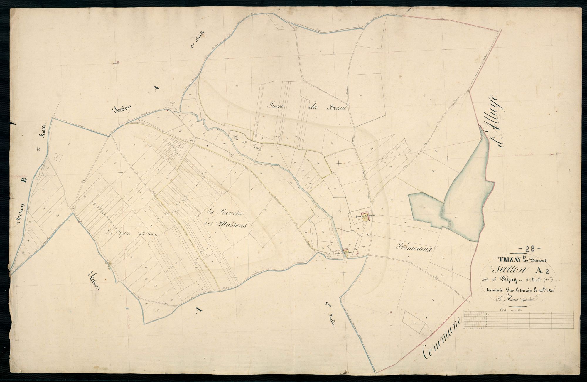 Section A, Trizay, feuille 2 / Terminée sur le terrain par Monsieur Adam, Géomètre.