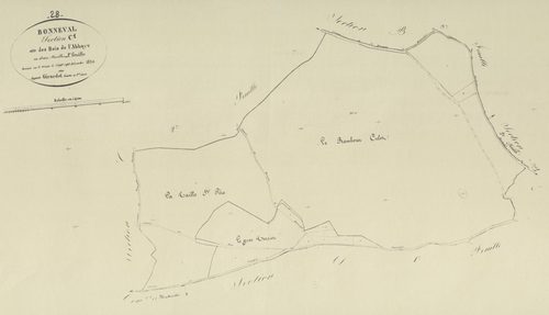 Section C, Bois de l'Abbaye, feuille 1.
