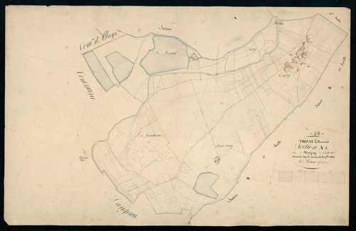 Section A, Trizay, feuille 1 / Terminée sur le terrain par Monsieur Adam, Géomètre.