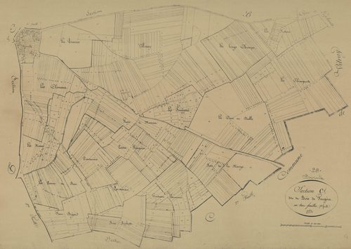 Section C, le Bois de Feugère, feuille 1.