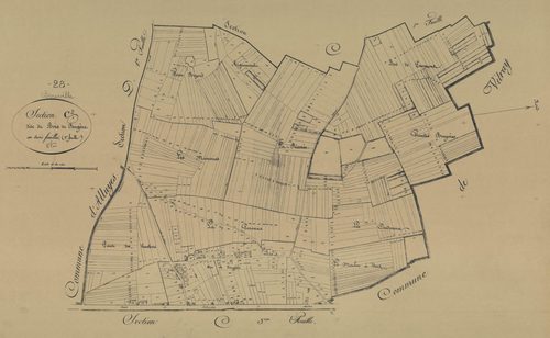 Section C, le Bois de Feugère, feuille 2.