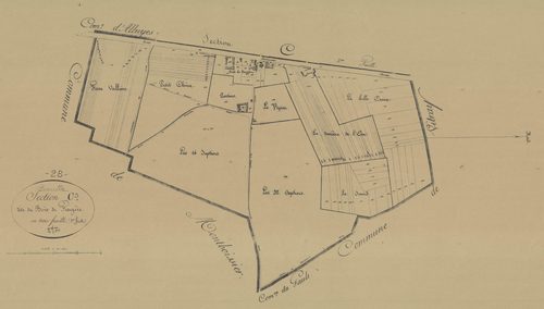 Section C, le Bois de Feugère, feuille 3.