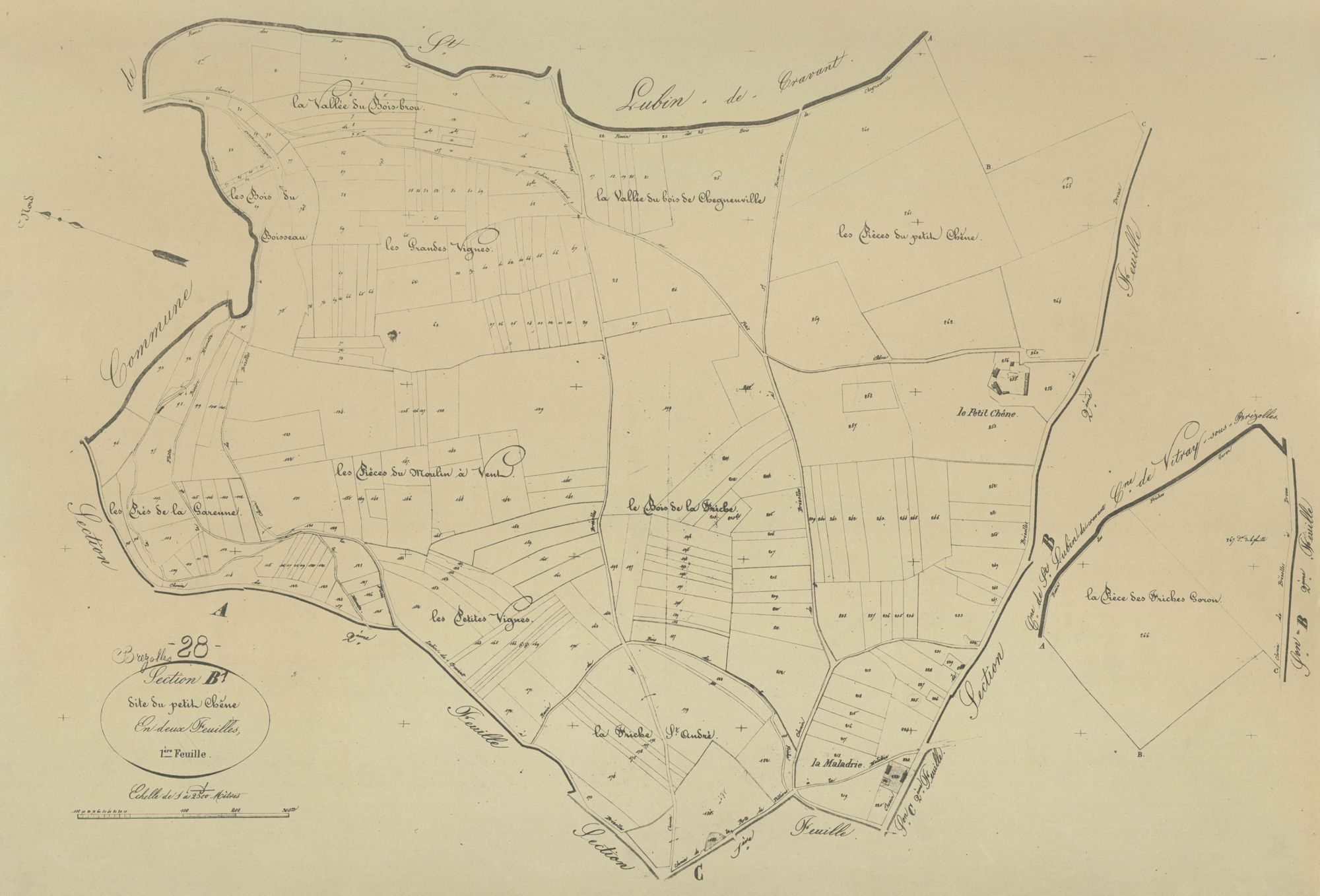 Section B, le Petit Chêne, feuille 1.