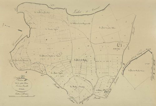 Section B, le Petit Chêne, feuille 1.