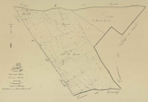 Section B, le Petit Chêne, feuille 2.