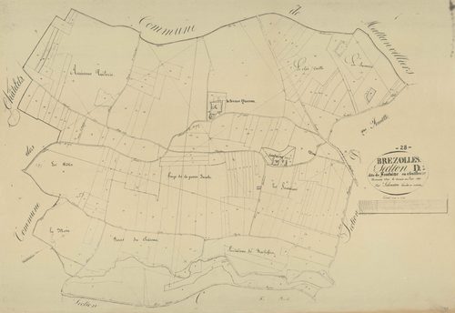 Section D, Fontaine, feuille 1.