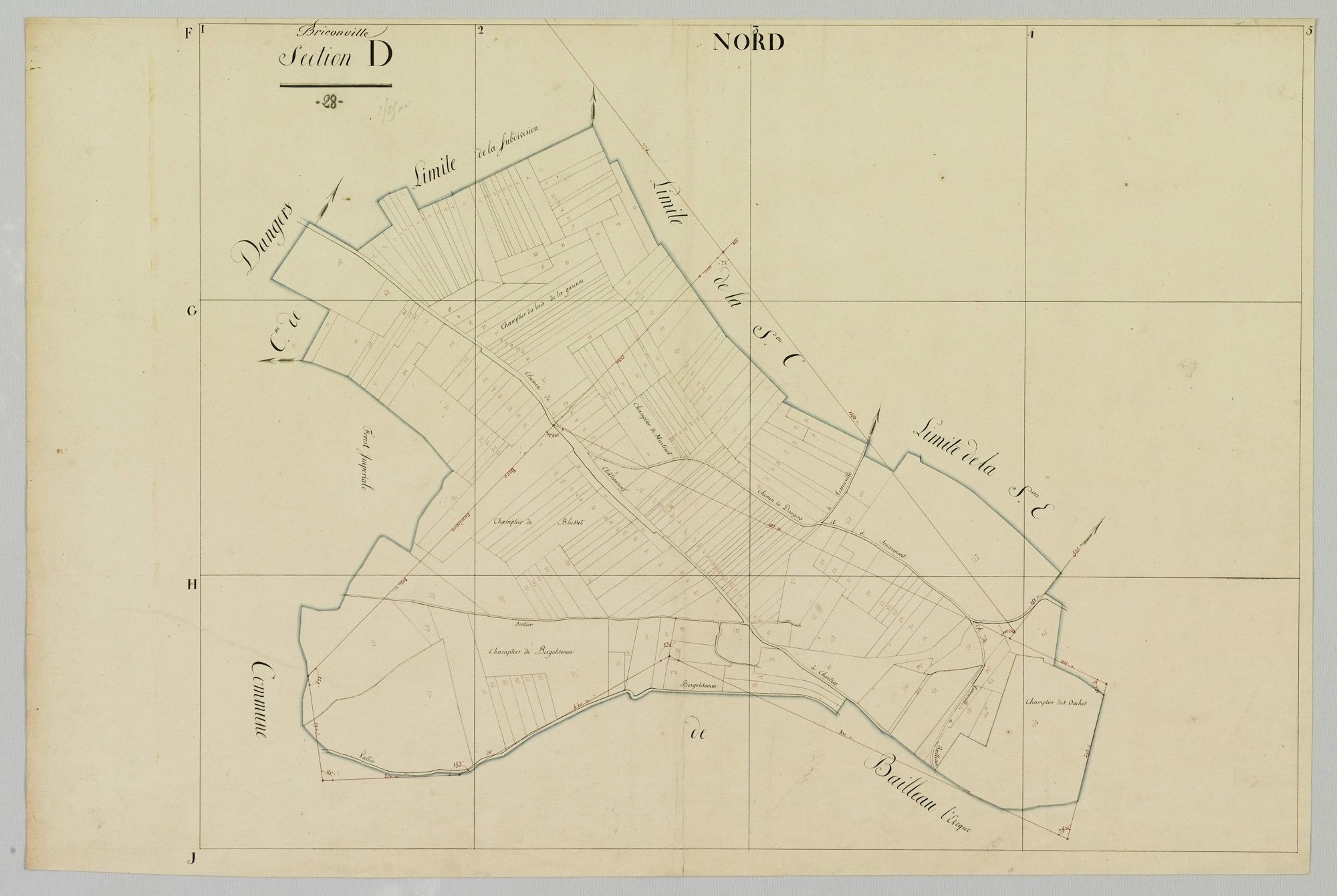 Section D.
