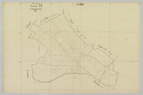 Section D.