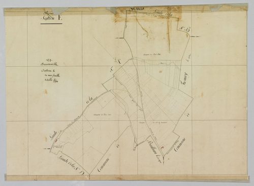 Section E.