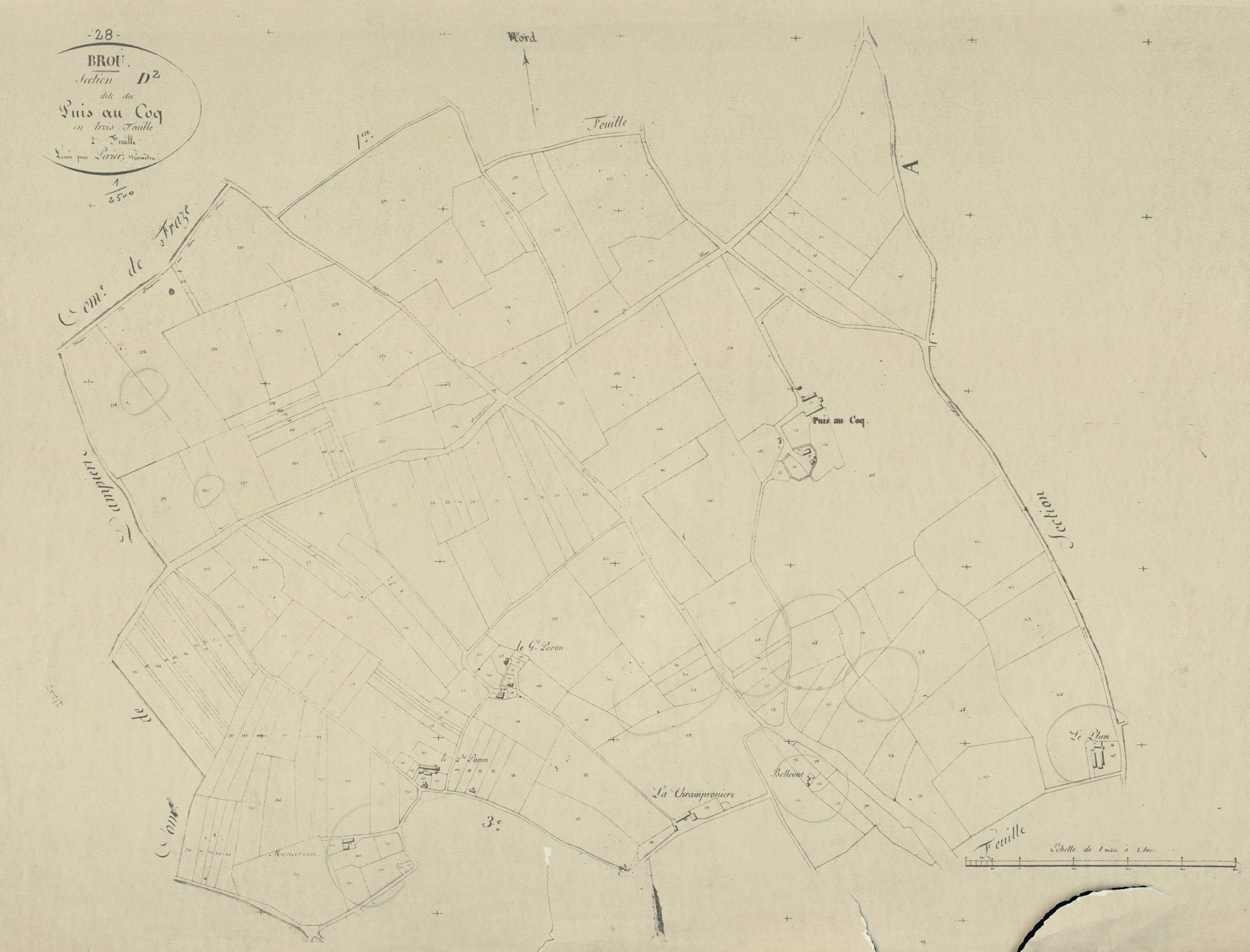 Section D, le Puis au Coq, feuille 2.