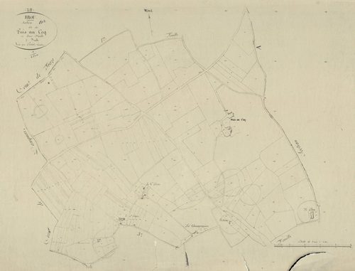 Section D, le Puis au Coq, feuille 2.
