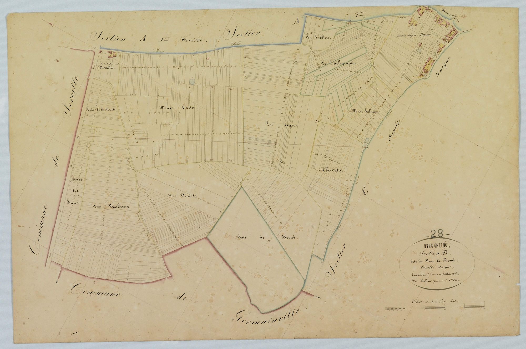 Section D, le Bois de Broué.