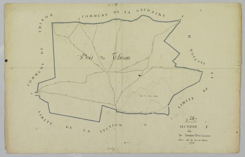 Section F, le Domaine de la Couronne autrement dit les Bois de Thiron.