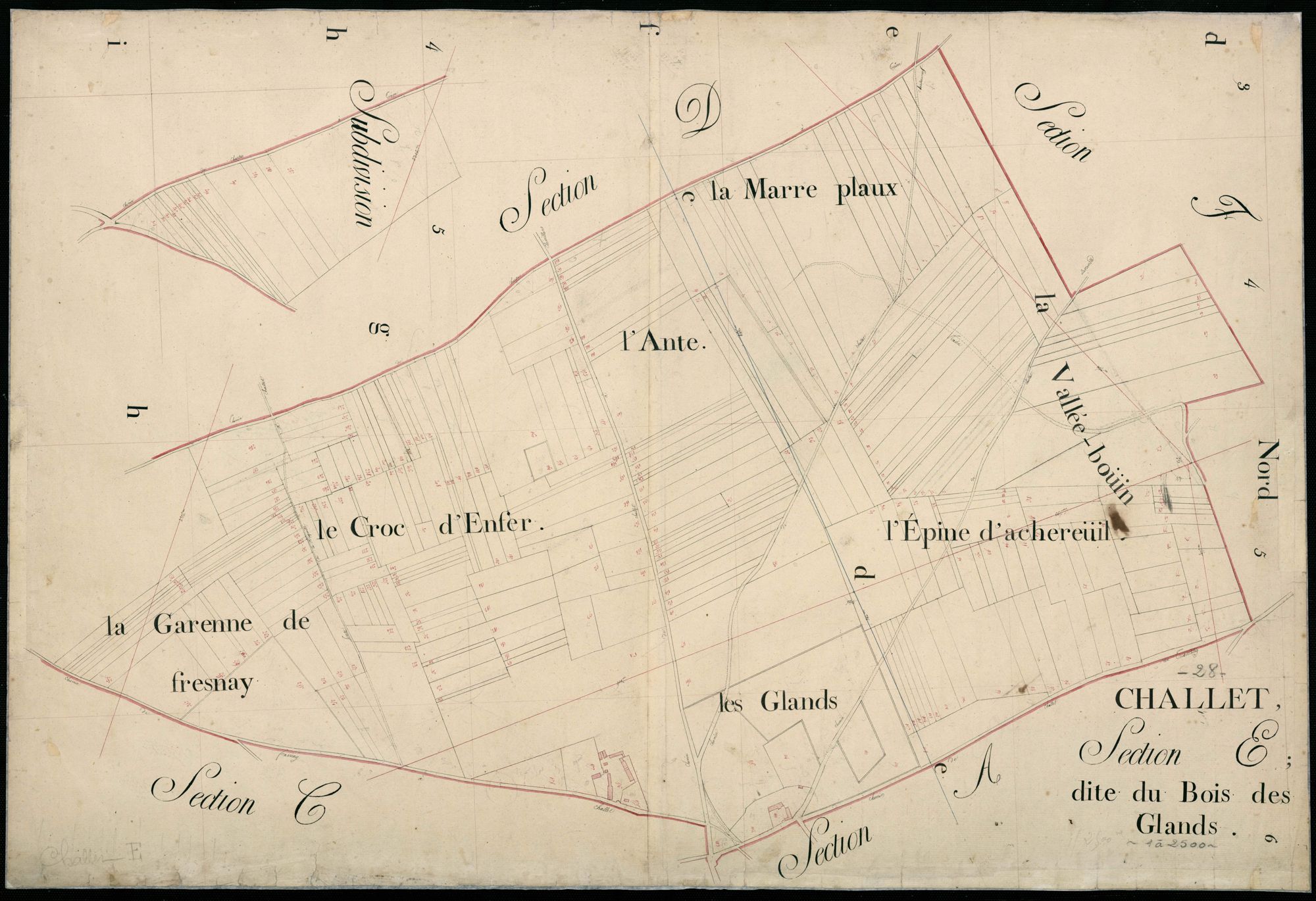 Section E, le Bois des Glands.