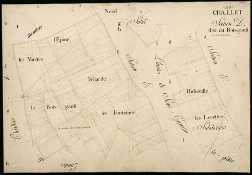 Section D, le Bois-Gault.