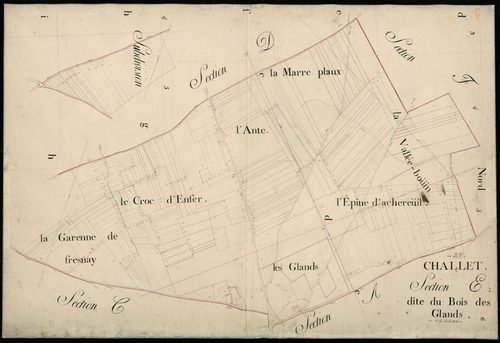 Section E, le Bois des Glands.