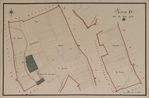 Section D, le Bois Gault, en une feuille.