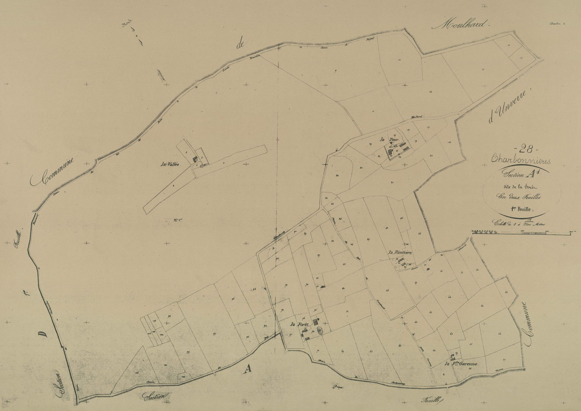 Section A, la Forêt, feuille 1.
