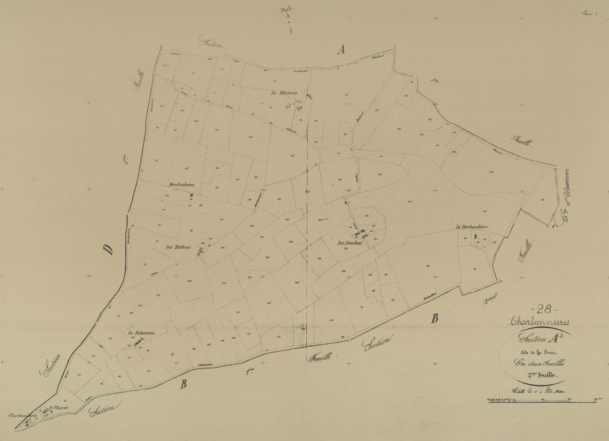 Section A, la Forêt, feuille 2.