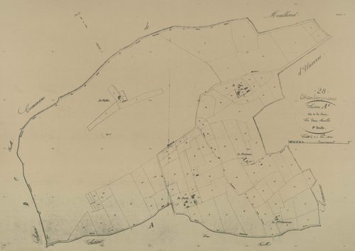 Section A, la Forêt, feuille 1.