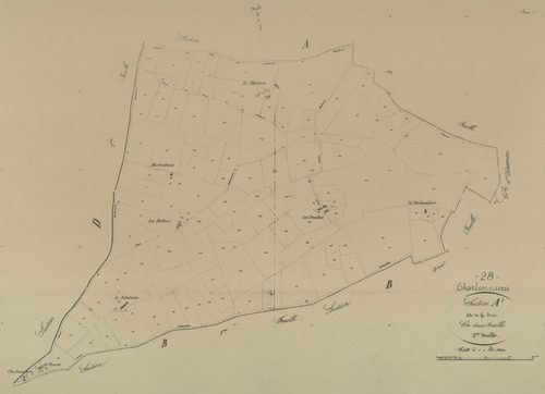 Section A, la Forêt, feuille 2.