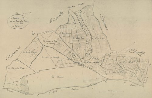 Section D, les Bois de la Place, en une feuille.