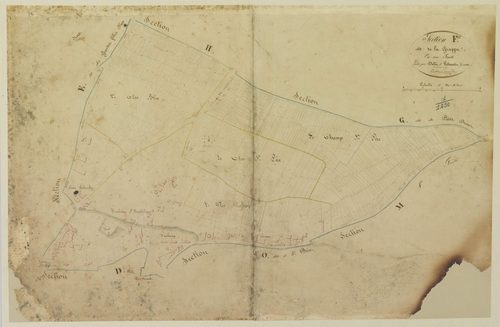 Section F, la Grappe, en une feuille / Levée par Delié et Lelouatre, Géomètre[s].