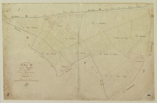 Section N, Beaulieu, en une feuille / Levée par Périer, Géomètre.
