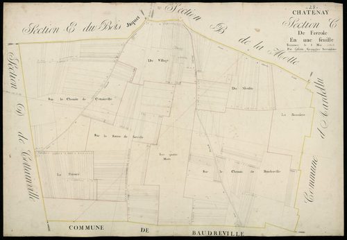 Section C, Faverole, en une feuille / Terminée par Monsieur Gallais, Géomètre secondaire.