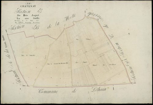 Section E, le Bois Jaquet, en une feuille / Terminée par Monsieur Gallais, Géomètre secondaire.