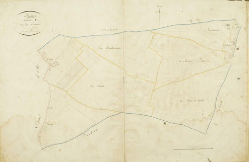 Section C, les Divises, en une feuille / Levée par Delié, géomètre.