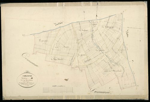 Section D, les Maréchaux, en une feuille / Terminée par Monsieur Perrier, Géomètre du cadastre.