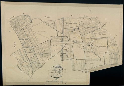 Section E, la Plaine, en une feuille.
