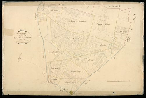 Section D, Château de Montchenu, en une feuille.