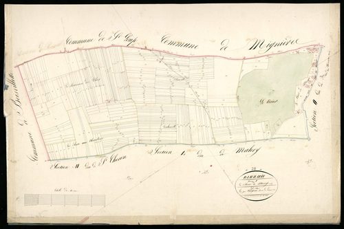 Section N, le Bois-de-Mivoye, en une feuille / Terminée sur le terrain par Monsieur Forgean, Géomètre du cadastre.
