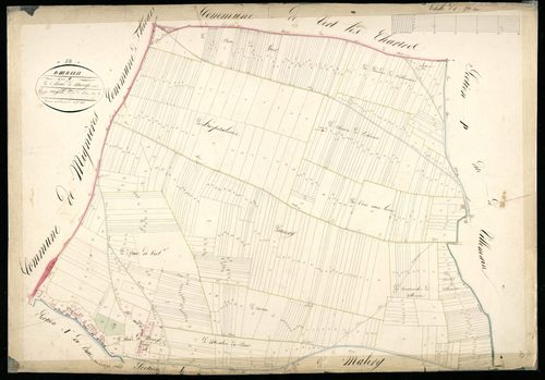 Section O, le Bois-de-Mivoye, en une feuille / Terminée sur le terrain par Monsieur Forgean, Géomètre du cadastre.