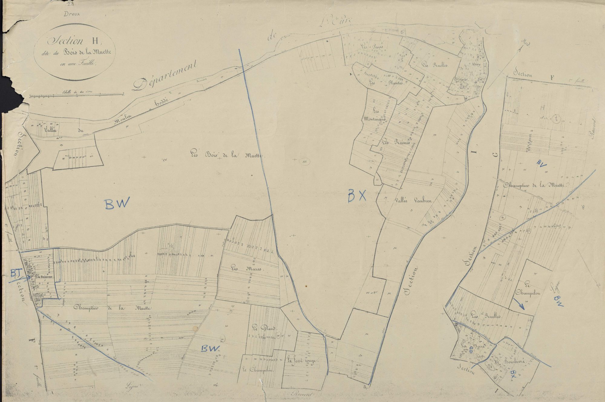 Section H, le Bois de la Muette, en une feuille.