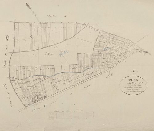 Section F, les Hauts et Bas Buissons, feuille 3.