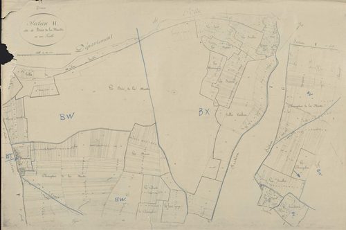 Section H, le Bois de la Muette, en une feuille.