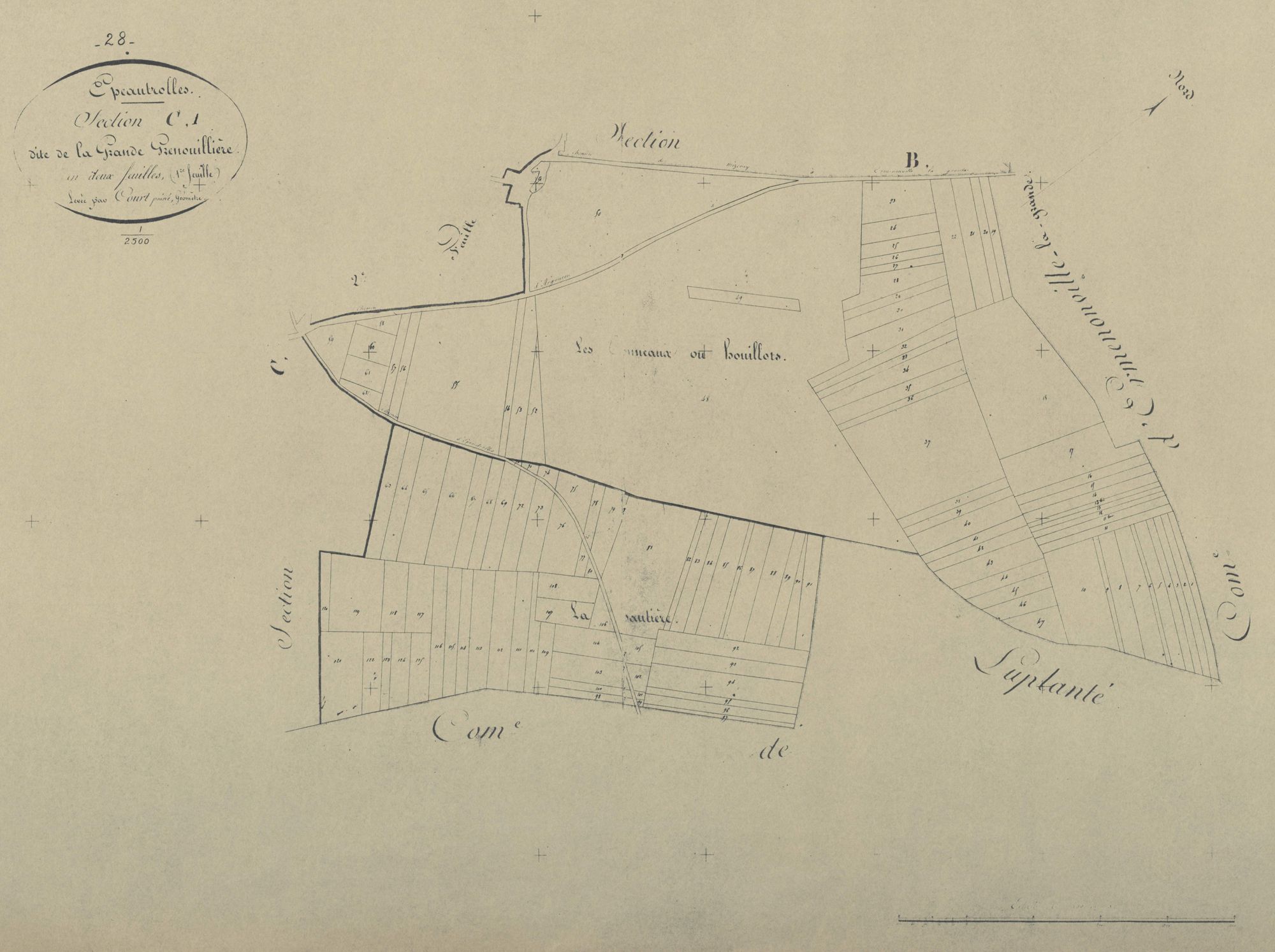 Section C, la Grande Grenouillère, feuille 1.