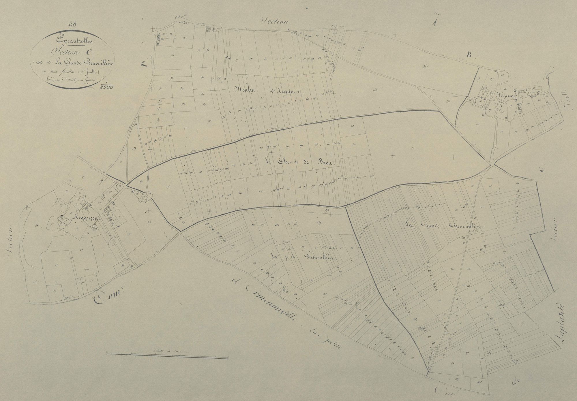 Section C, la Grande Grenouillère, feuille 2.