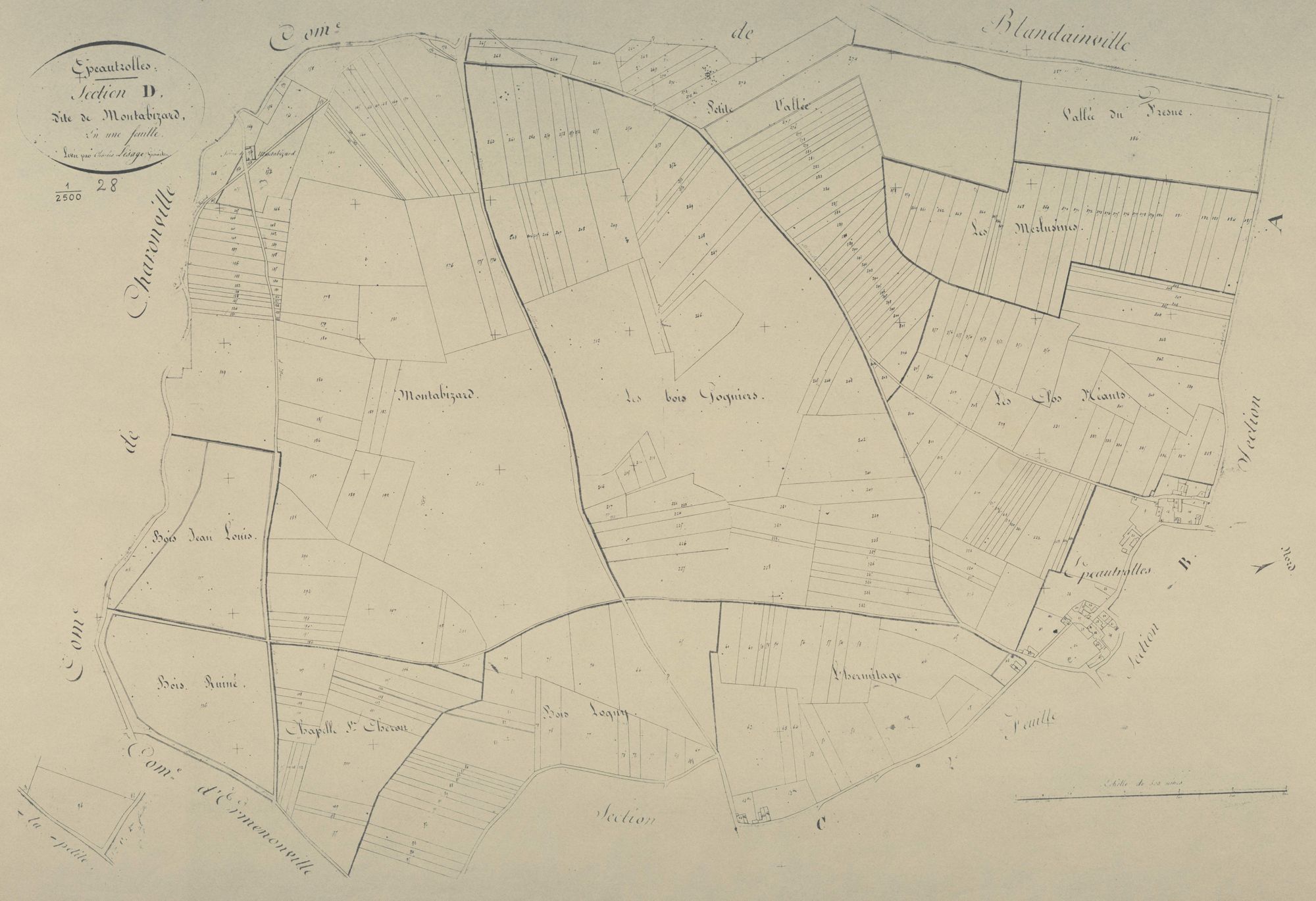 Section D, Montabizard, en une feuille.