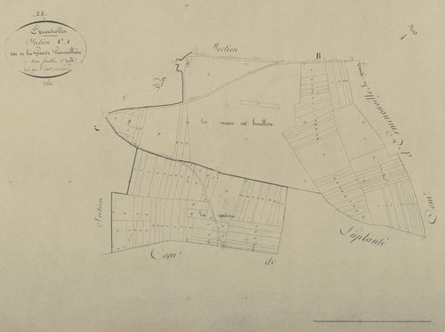 Section C, la Grande Grenouillère, feuille 1.